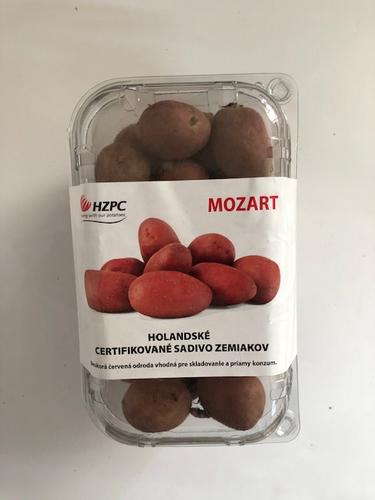 Zemiaky minisadba Mozart 28 - 35 mm, 1 kg