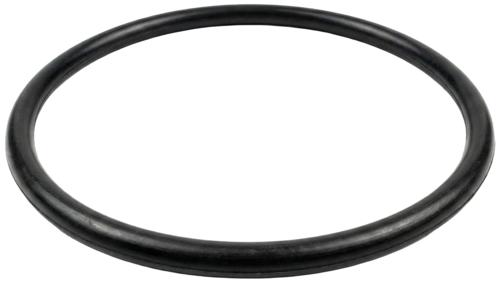 ASTRALPOOL Dichtung für Tablettenspender